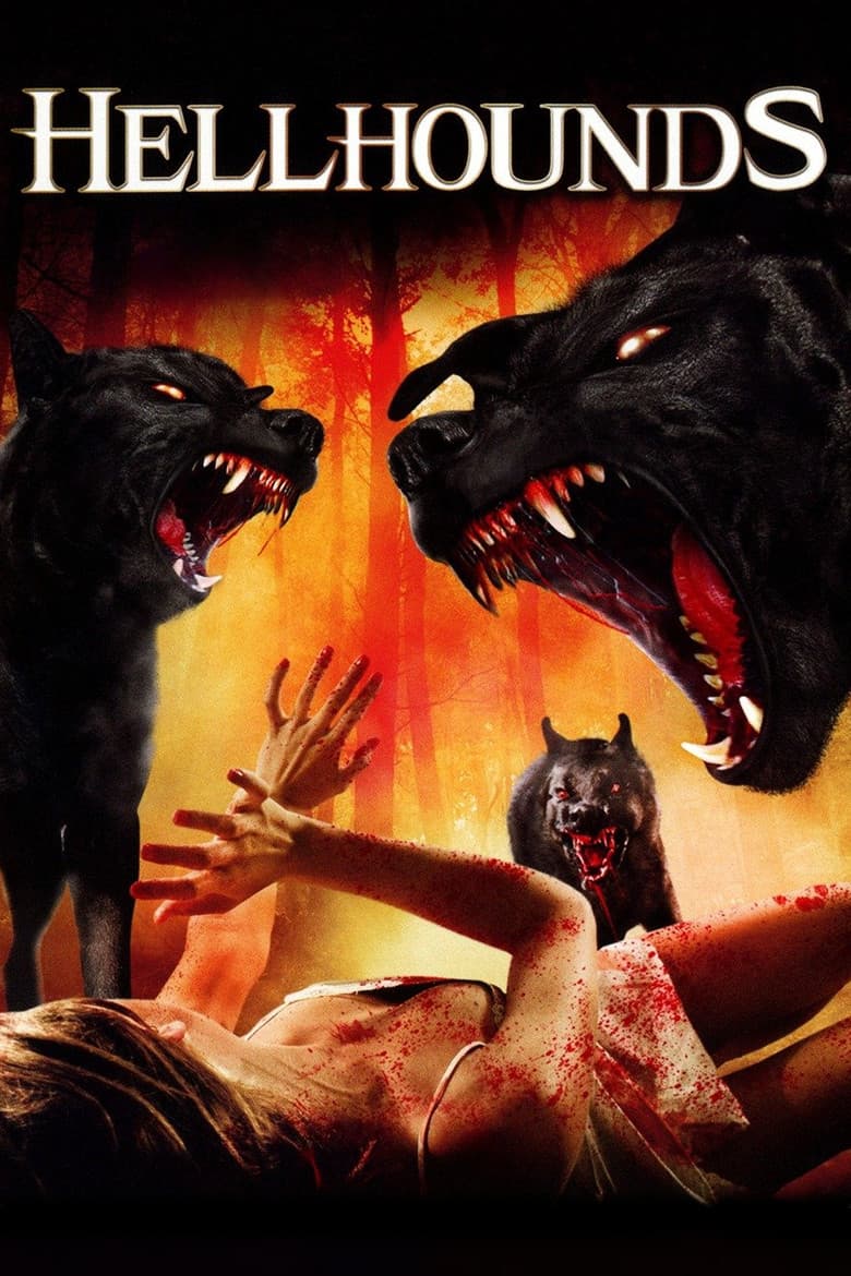 Filmcover von Der Wächter des Hades