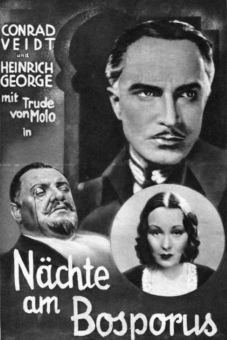Filmcover von Der Mann, der den Mord beging