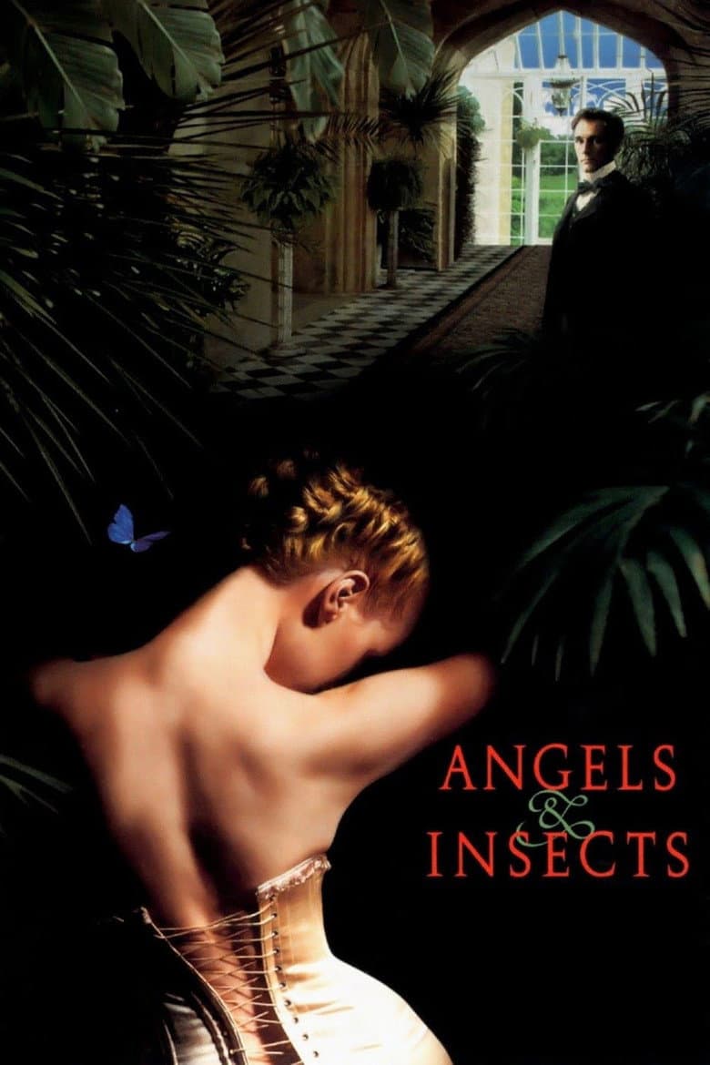 Filmcover von Engel und Insekten