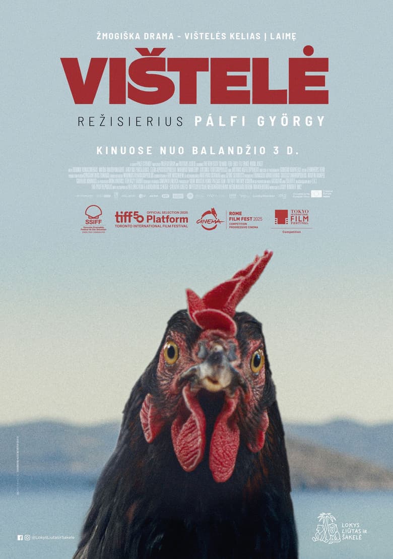 Filmcover von Lebensansichten eines Huhns