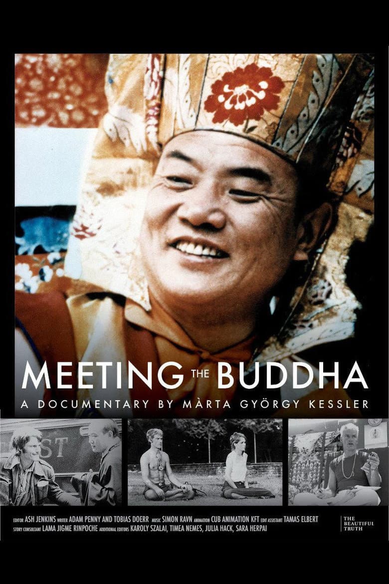 Filmcover von Meeting the Buddha