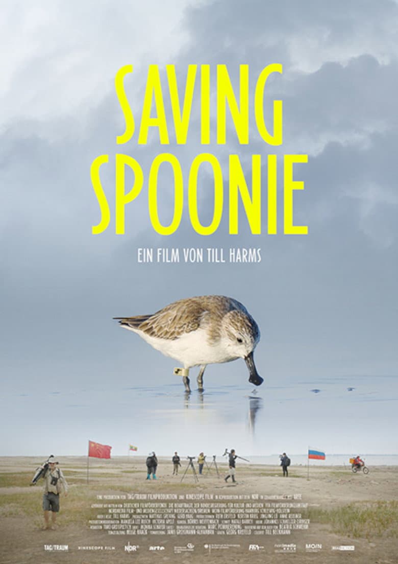 Filmcover von Saving Spoonie