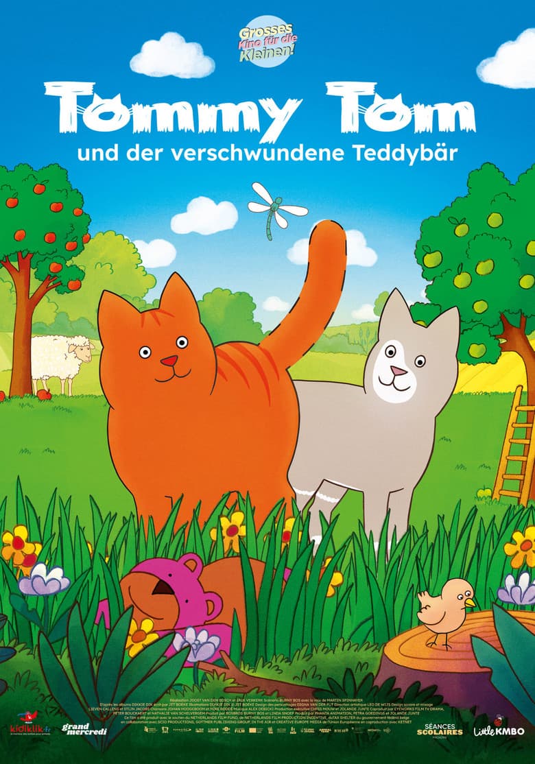 Filmcover von Tommy Tom und der verschwundene Teddybär